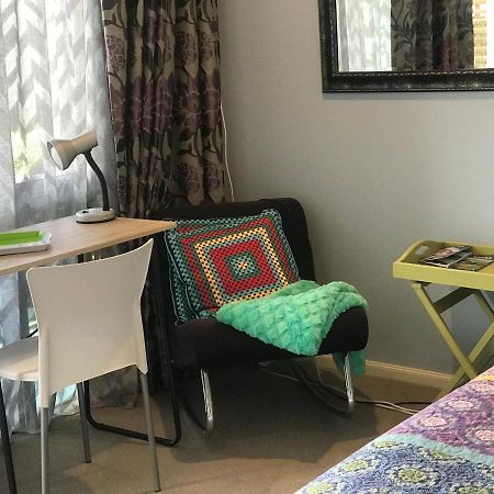 Cosy Caversham Retreat Dunedin Eksteriør billede